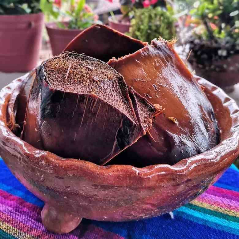 Qué es el agave cenizo y a qué sabe