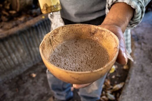 como degustar un mezcal 4